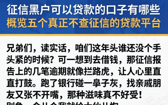 征信黑户可以贷款的口子有哪些，概览五个真正不查征信的贷款平台