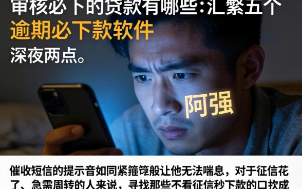 审核必下的贷款有哪些，汇整五个逾期必下款的软件