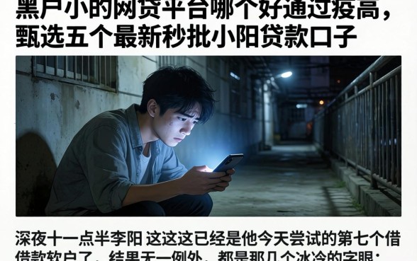 黑户小的网贷平台哪个好通过率高，甄选五个最新秒批小额贷款口子