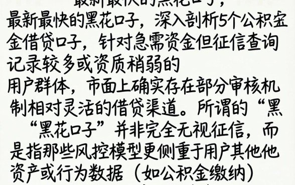 最新最快的黑花口子，深入剖析5个公积金借钱口子