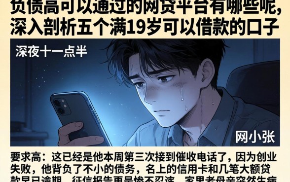 负债高可以通过的网贷平台有哪些呢,深入剖析五个满19岁可以借款的口子