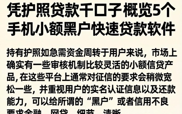 凭护照贷款的口子，概览5个手机小额黑户快速贷款软件