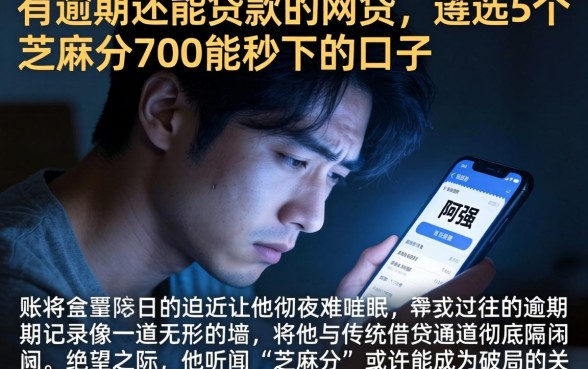有逾期还能贷款的网贷，遴选5个芝麻分700能秒下的口子