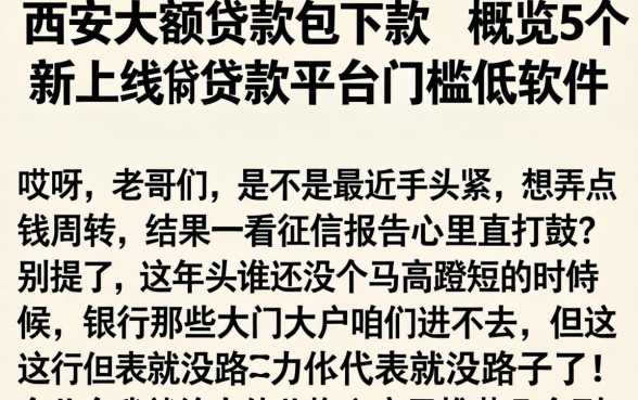 西安大额贷款包下款，概览5个新上线贷款平台门槛低软件