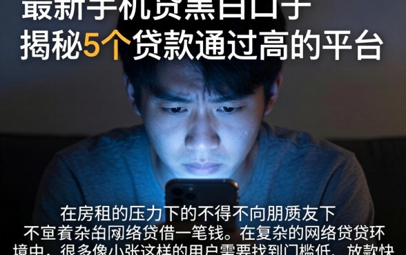 最新手机贷黑白口子，揭秘5个贷款通过高的平台