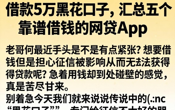 借款5万黑花口子，汇总五个靠谱借钱的网贷app