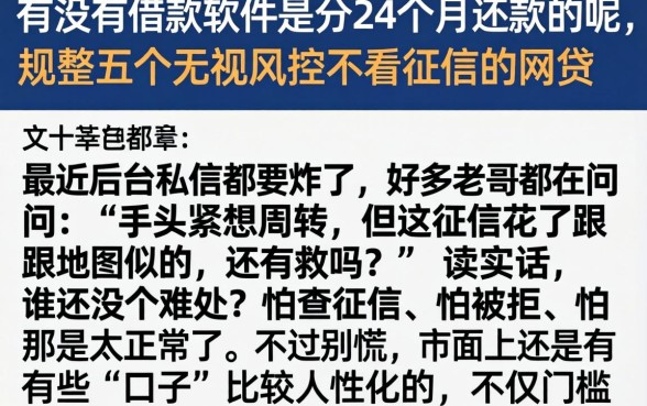 有没有借款软件是分24个月还款的呢，规整五个无视风控不看征信的网贷