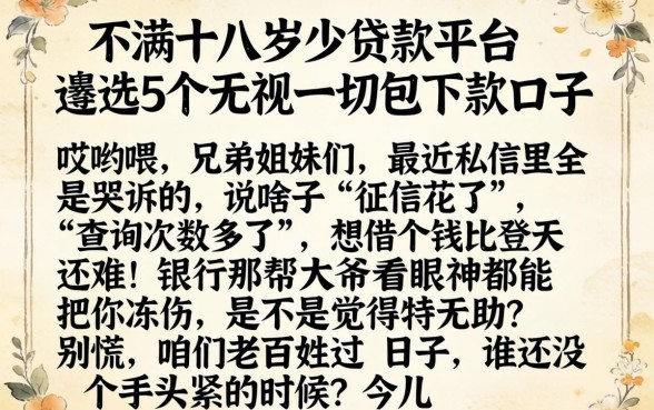 不满十八岁贷款平台，遴选5个无视一切包下款口子