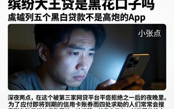 缤纷大王贷是黑花口子吗，胪列五个黑白贷款不是高炮的app
