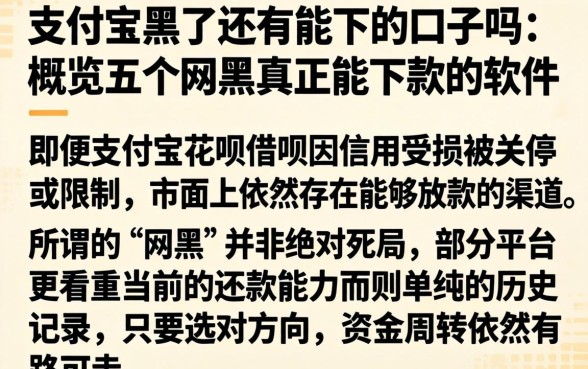 支付宝黑了还有能下的口子吗，概览五个网黑真正能下款的软件