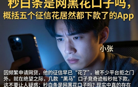 秒白条是网黑花口子吗，概括五个征信花居然都下款了的app