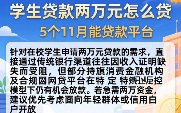 学生贷款两万元怎么贷，详细阐述5个11月能贷款的平台