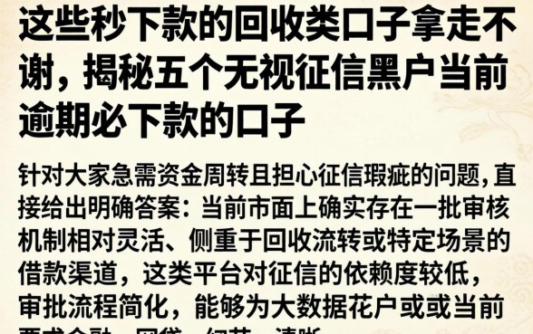 这些秒下款的回收类口子拿走不谢，揭秘五个无视征信黑户当前逾期必下款的口子