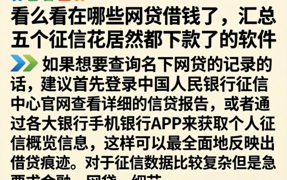 怎么看在哪些网贷借钱了，汇总五个征信花居然都下款了的软件