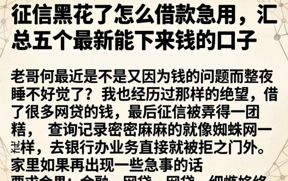 征信黑花了怎么借款急用，汇总五个最新能下来钱的口子