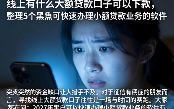线上有什么大额贷款口子可以下款，整理5个黑户可快速办理小额贷款业务的软件