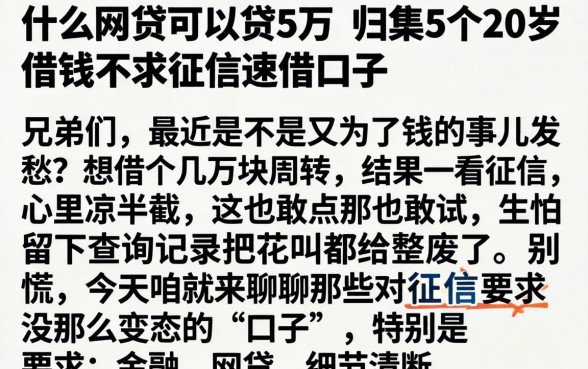 什么网贷可以贷5万，归集5个20岁借钱不求征信速借口子