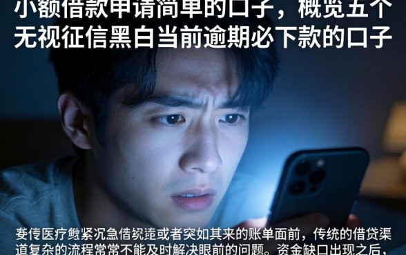 小额借款申请简单的口子，概览五个无视征信黑户当前逾期必下款的口子