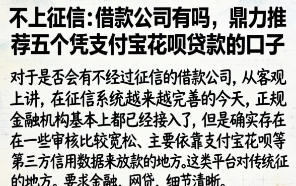 不上征信的借款公司有吗，鼎力推荐五个凭支付宝花呗贷款的口子