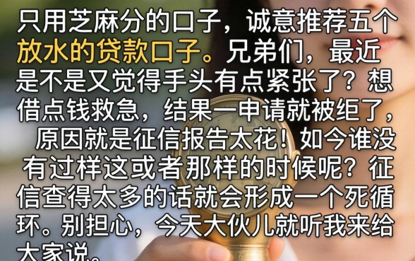 只用芝麻分的口子，诚意推荐五个放水的贷款口子