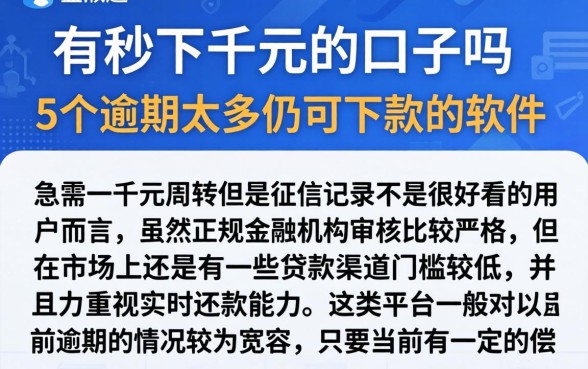 有秒下千元的口子吗，概括5个逾期太多仍可下款的软件