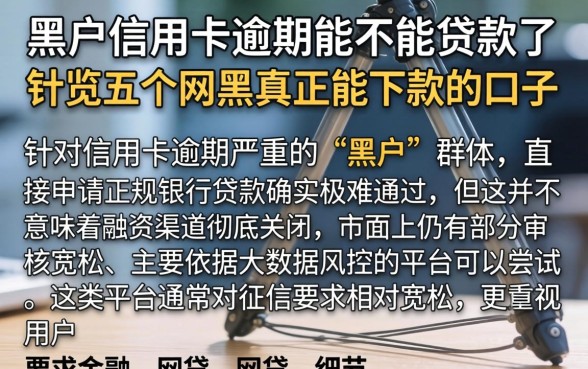 黑户信用卡逾期能不能贷款了，概览五个网黑真正能下款的口子