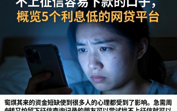 不上征信容易下款的口子,概览5个利息低的网贷平台