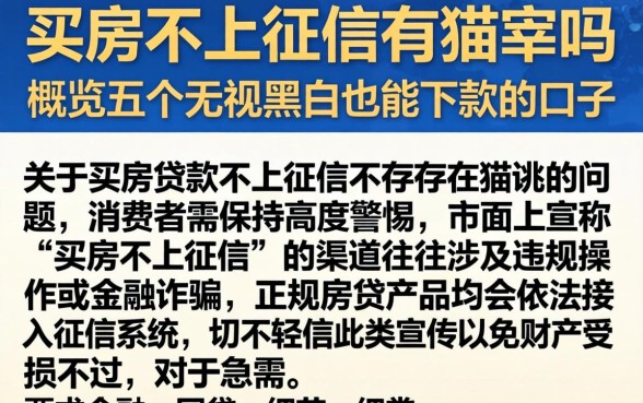 买房不上征信有猫腻吗，概览五个无视黑户也能下款的口子