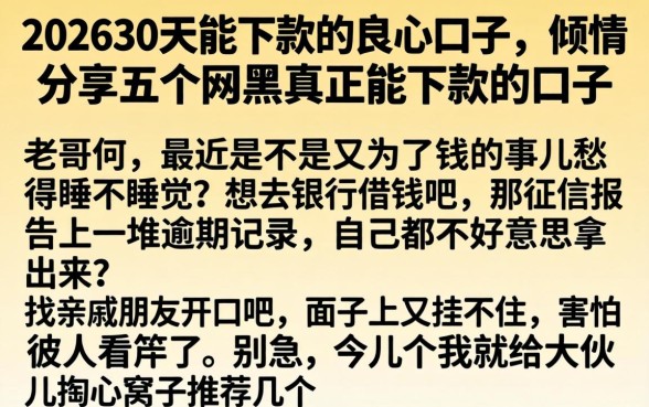 202630天能下款的良心口子，倾情分享五个网黑真正能下款的口子