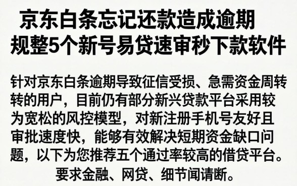 京东白条忘记还款造成逾期，规整5个新号易贷速审秒下款软件