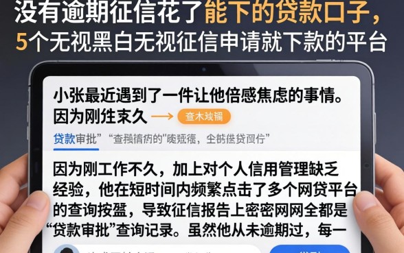 没有逾期征信花了能下的贷款口子，概括5个无视黑白无视征信申请就下款的平台