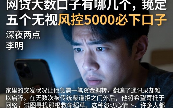 网贷大额口子有哪几个，规整五个无视风控5000必下口子
