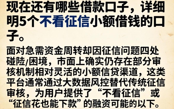 现在还有哪些借款口子，详尽说明5个不看征信小额借钱的口子
