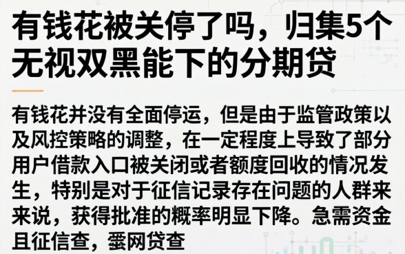 有钱花被关停了吗，归集5个无视双黑能下的分期贷