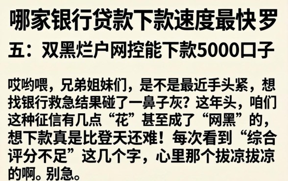 哪家银行贷款下款速度最快，罗列五个双黑烂户风控能下款5000口子