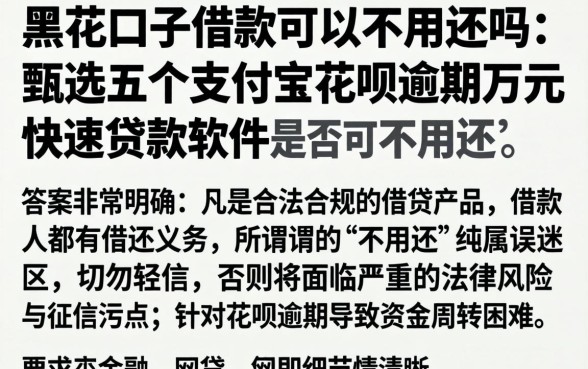 黑花口子借款可以不用还吗，甄选五个支付宝花呗逾期万元快速贷款软件