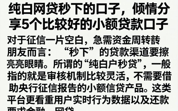 纯白网贷秒下的口子，倾情分享5个比较好的小额贷款口子
