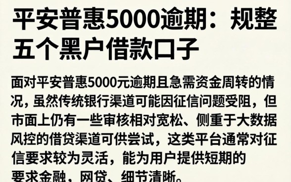 平安普惠5000逾期，规整五个黑户借款口子