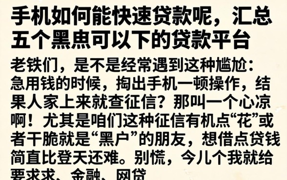 手机如何能快速贷款呢，汇总五个黑户可以下的贷款平台
