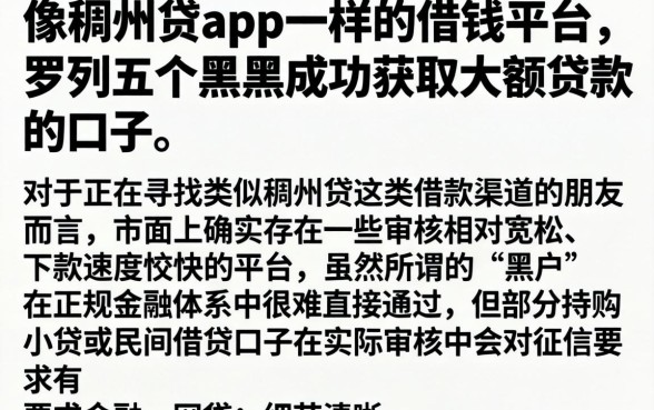 像稠州贷app一样的借钱平台,罗列五个黑户成功获取大额贷款的口子