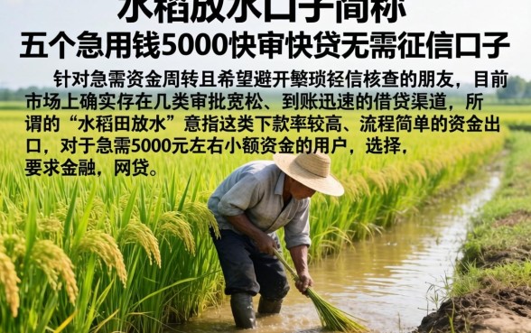 水稻田放水的口子简称，详细阐述五个急用钱5000快审快贷无需征信口子