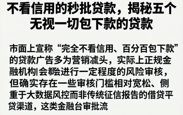 不看信用的秒批贷款，揭秘五个无视一切包下款的贷款