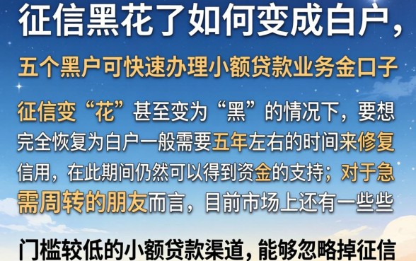 征信黑花了如何变成白户，细致阐述五个黑户可快速办理小额贷款业务的口子
