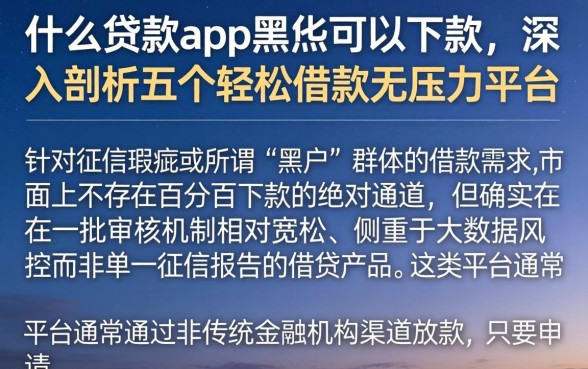 什么贷款app黑户可以下款，深入剖析五个轻松借款无压力平台