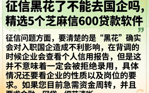 征信黑花了不能去国企吗，精选5个芝麻信用600贷款软件