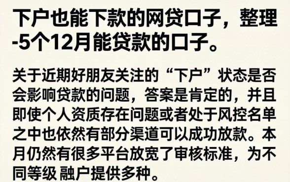 下户也能下款的网贷口子，整理5个12月能贷款的口子