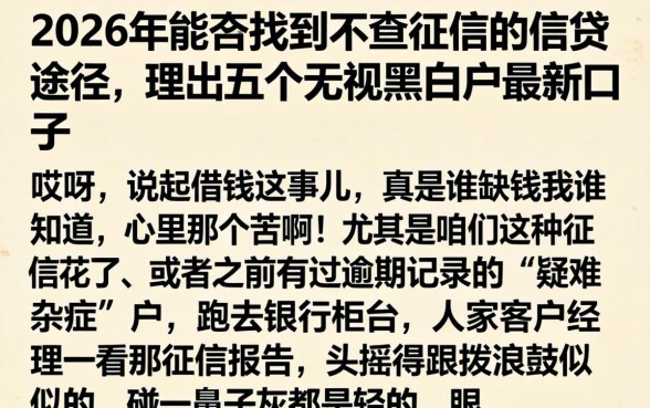 2026年能否找到不查征信的信贷途径，理出五个无视黑白户最新口子