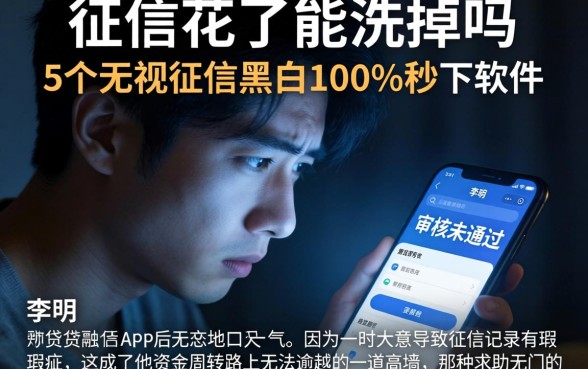 征信花了能洗掉吗，概括5个无视征信黑白100%秒下软件