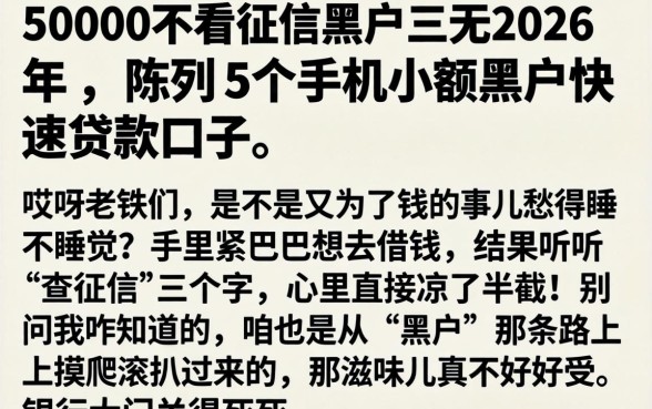 50000不看征信黑户三无2026年，陈列5个手机小额黑户快速贷款口子