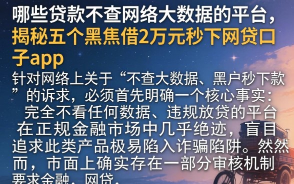 哪些贷款不查网络大数据的平台，揭秘五个黑户借2万元秒下网贷口子app